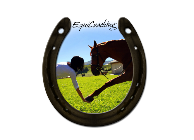 EquiCoaching