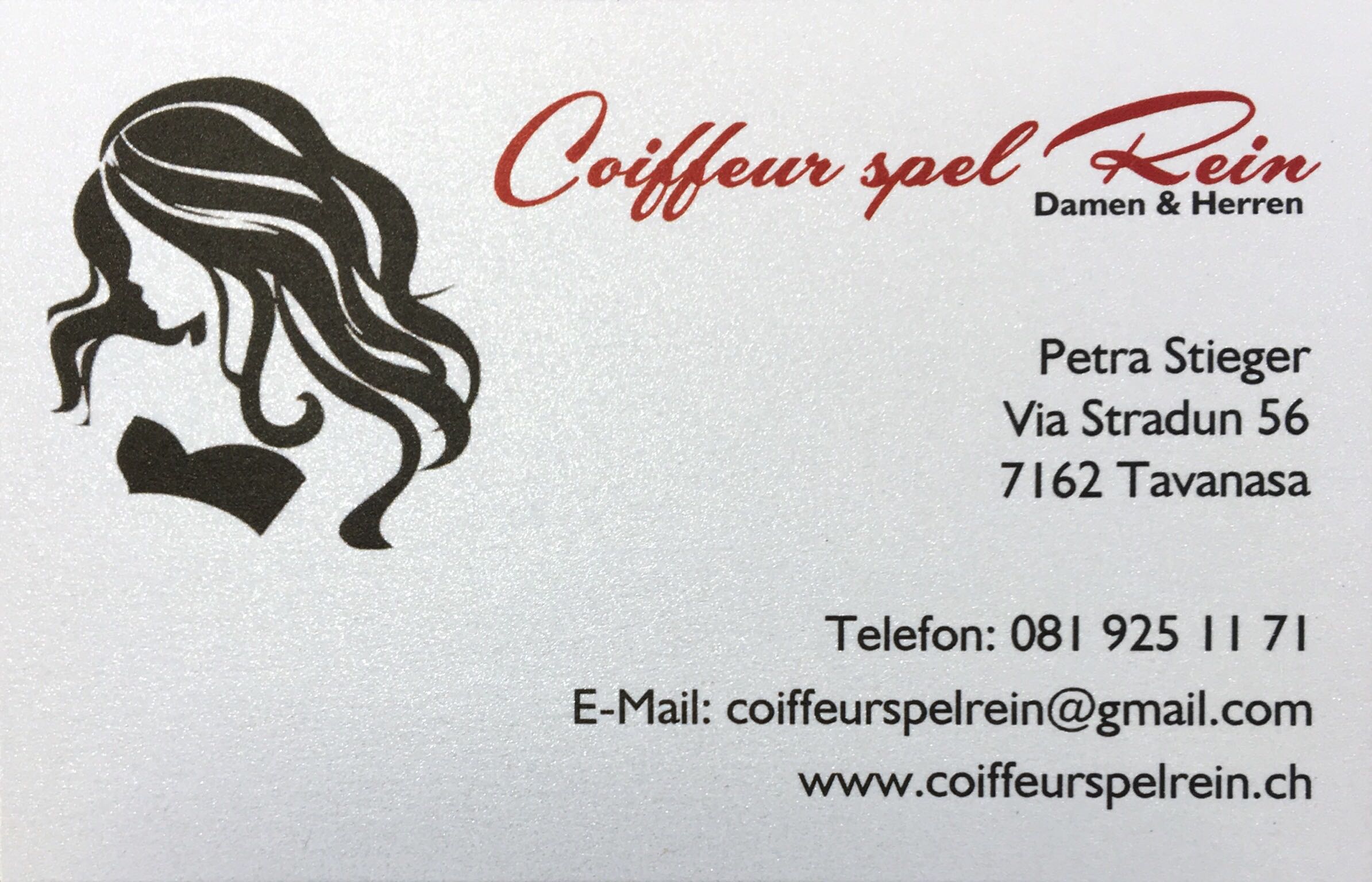 Coiffeur spel Rein