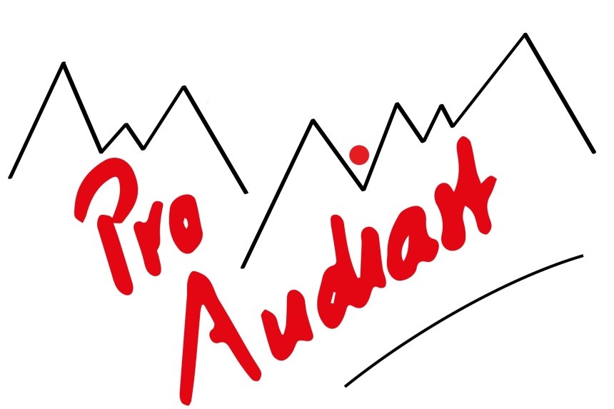 Pro Andiast