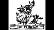 Bein puril Patnasa / Hof Patnasa